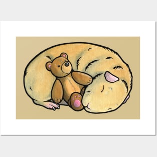 Sleeping Guinea Pig Posters and Art